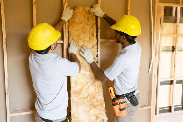 Best Blown-In Insulation  in Woodlawn, OH